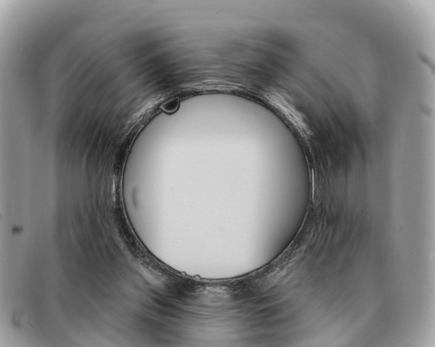 X0000091530157200708170956