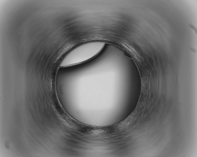 X0000091530158200708170956