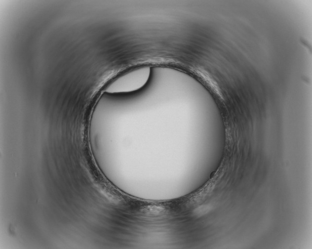 X0000091530159200708170956