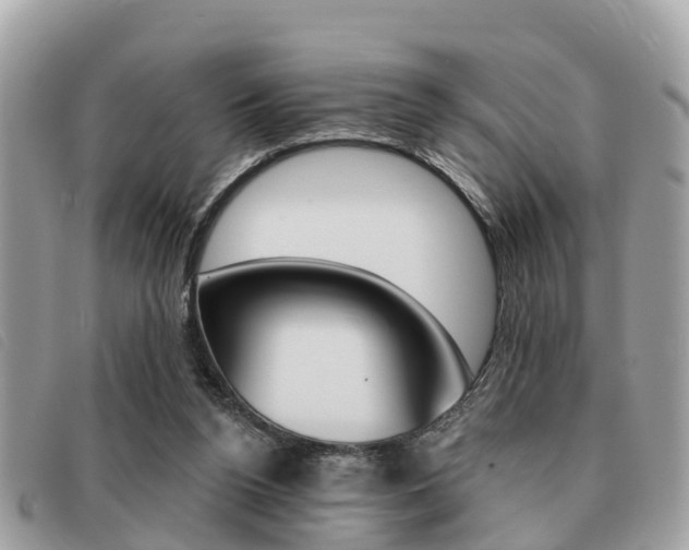 X0000091530160200708170956