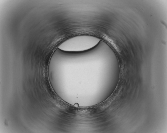 X0000091530161200708170956