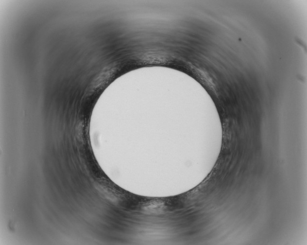 X0000091530162200708170956