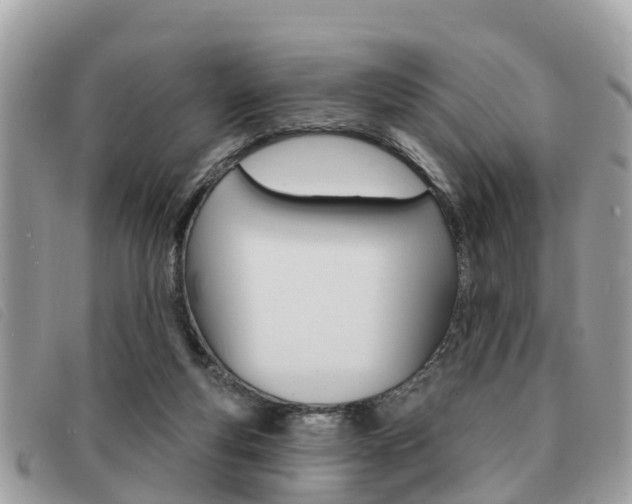 X0000091530163200708170956