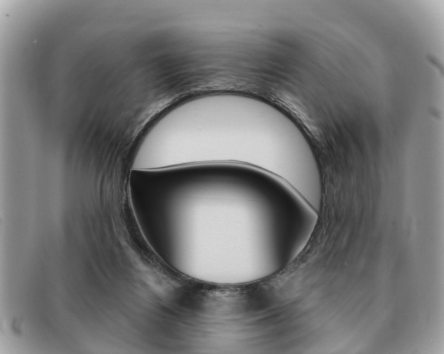 X0000091530164200708170956
