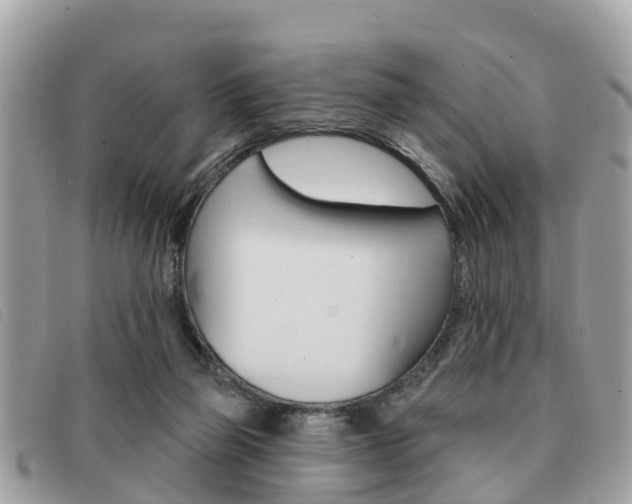 X0000091530165200708170956