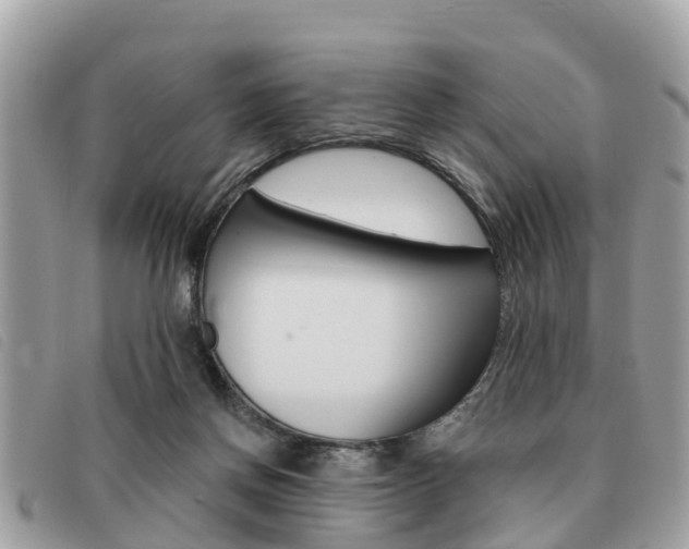 X0000091530166200708170956