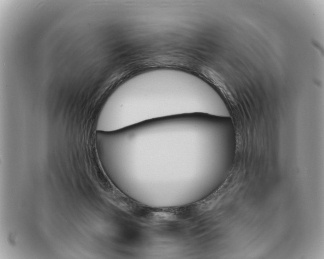 X0000091530167200708170956