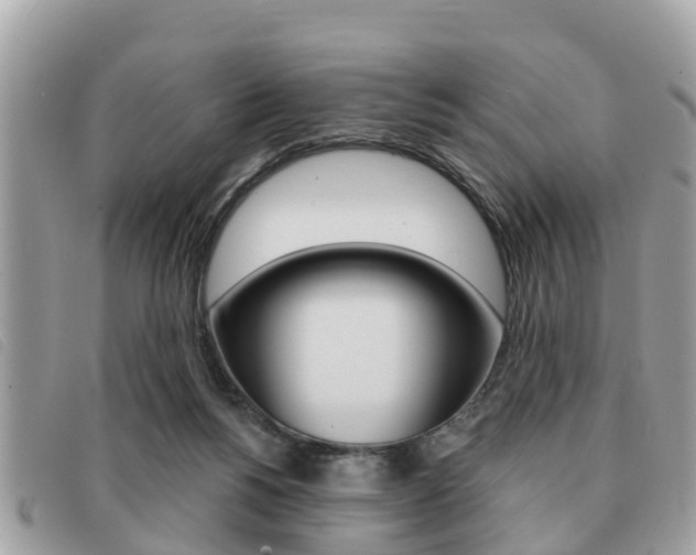 X0000091530168200708170956