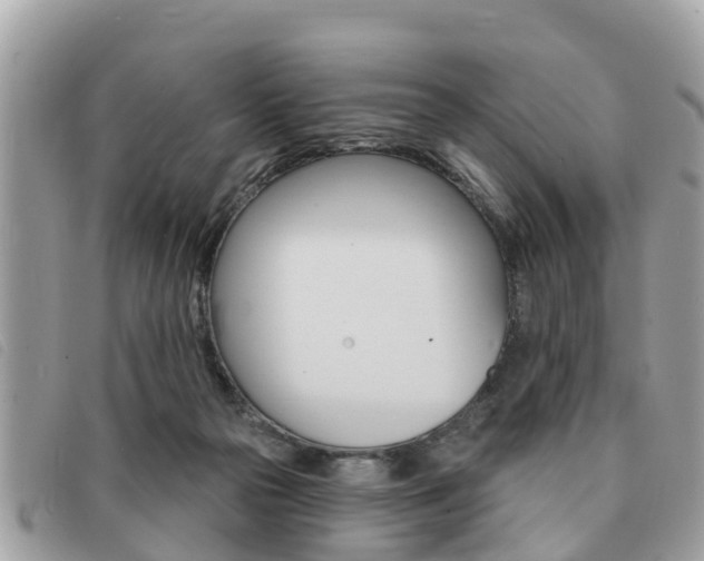 X0000091530169200708170957