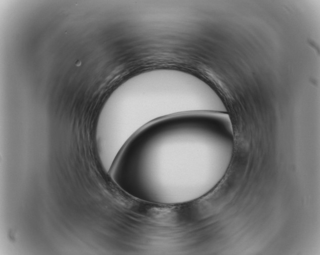 X0000091530170200708170957