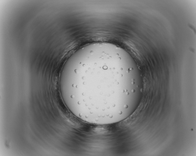 X0000091530171200708170957