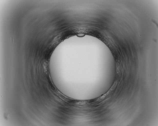 X0000091530175200708170957