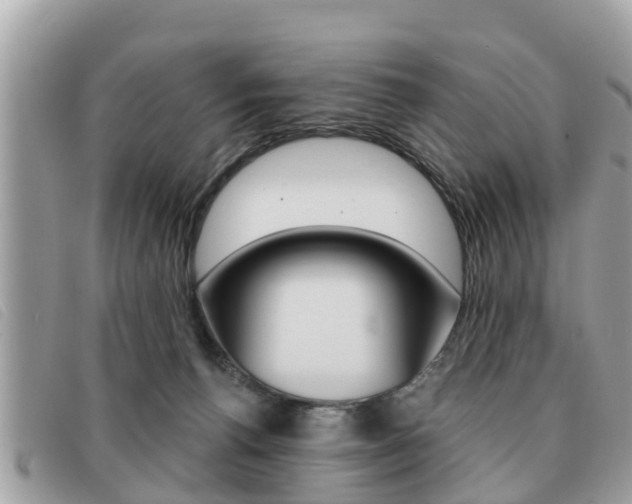 X0000091530176200708170957