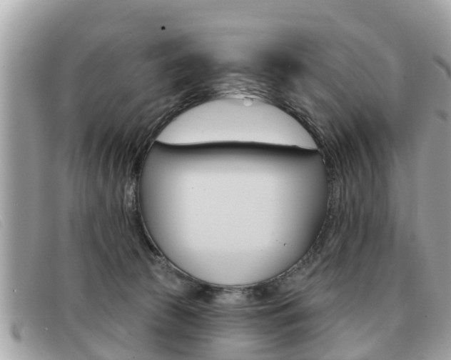 X0000091530177200708170957