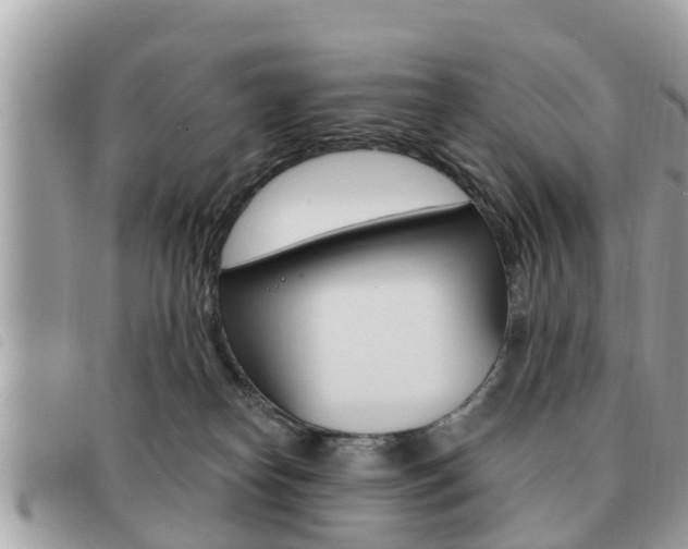 X0000091530182200708170957