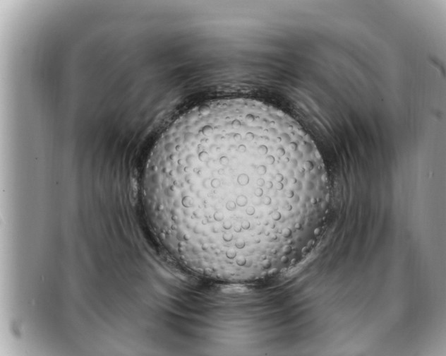 X0000091530183200708170957