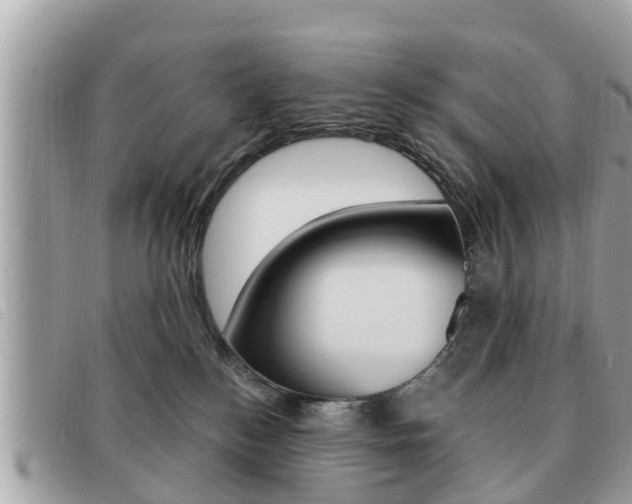 X0000091530184200708170957