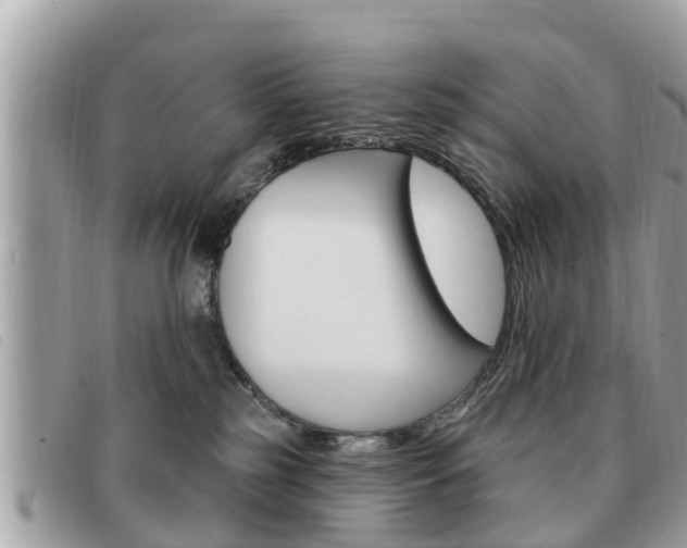 X0000091530185200708170957