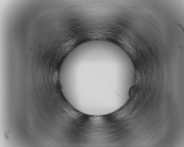 X0000091530189200708170957