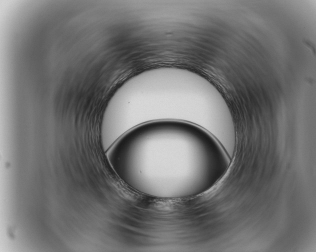 X0000091530190200708170957