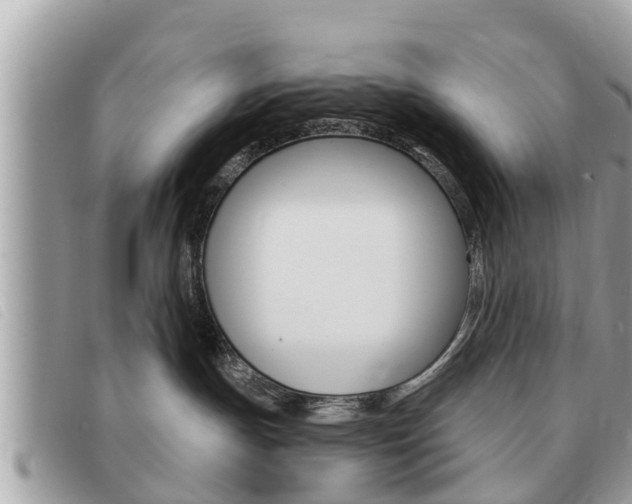 X0000091530191200708170957