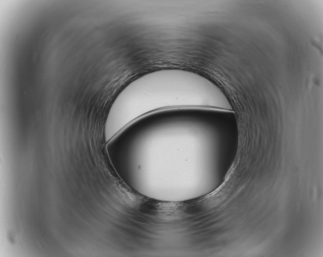 X0000091530192200708170957