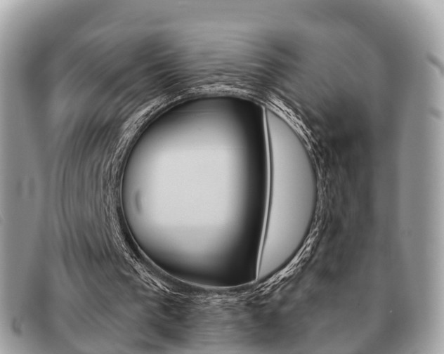 X0000091530193200708170956