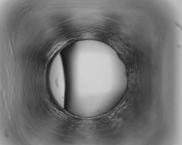 X0000091530194200708170956