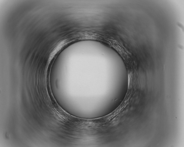 X0000091530195200708170956
