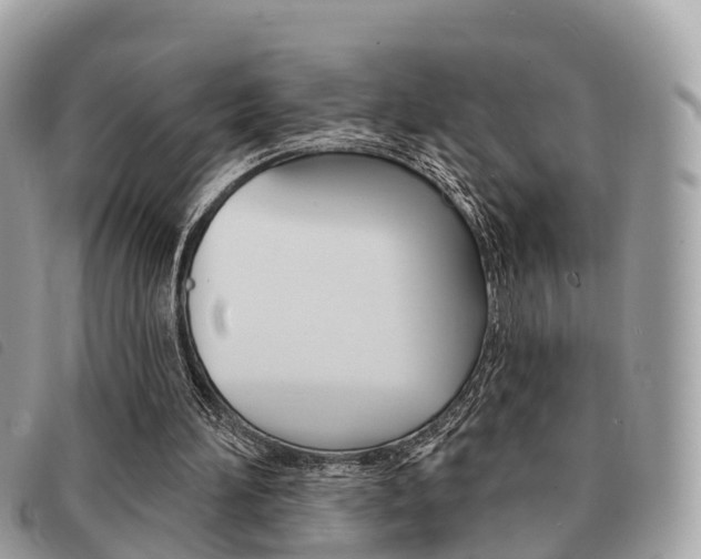 X0000091530196200708170956