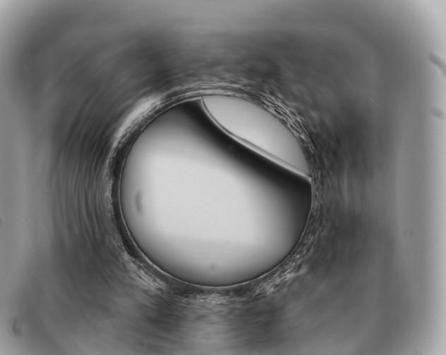 X0000091530197200708170956