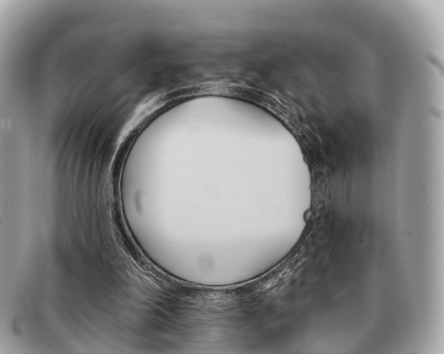 X0000091530198200708170956