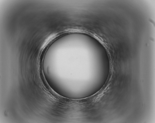 X0000091530199200708170956