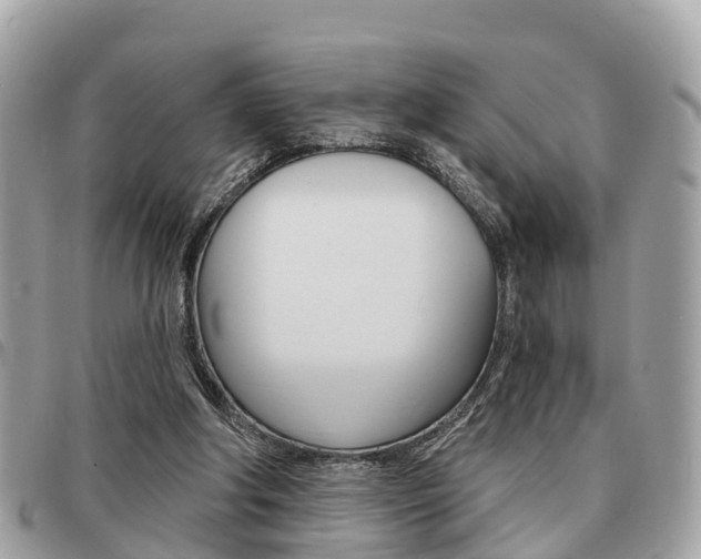 X0000091530202200708170956