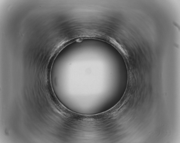 X0000091530203200708170956