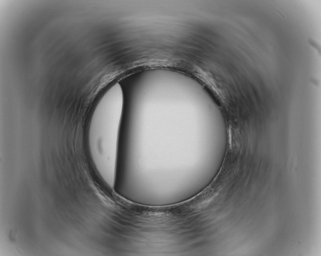 X0000091530205200708170956