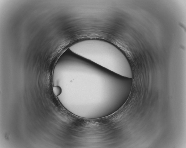 X0000091530206200708170956