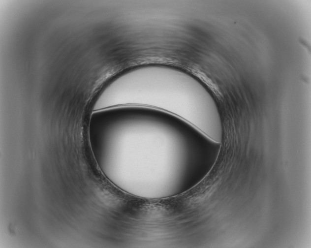 X0000091530207200708170956
