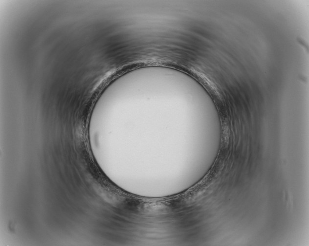 X0000091530208200708170956