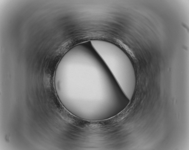 X0000091530209200708170956