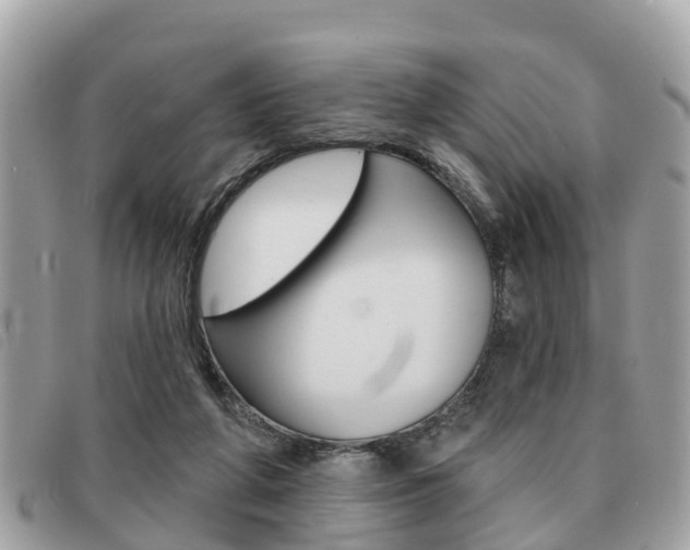 X0000091530210200708170956