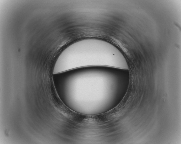 X0000091530211200708170956