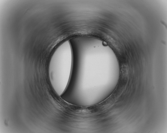 X0000091530212200708170956