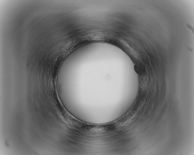 X0000091530213200708170956