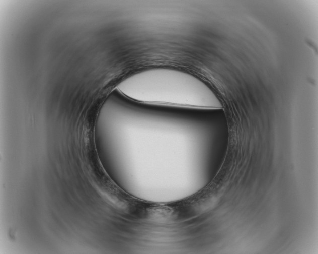 X0000091530215200708170956