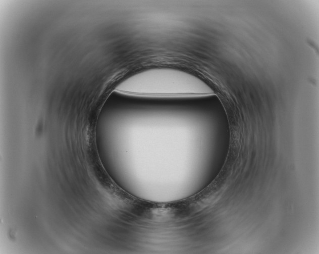 X0000091530216200708170956