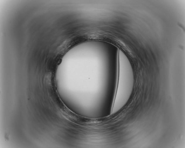 X0000091530217200708170956