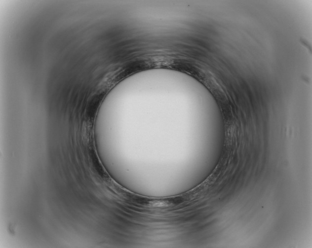 X0000091530218200708170956