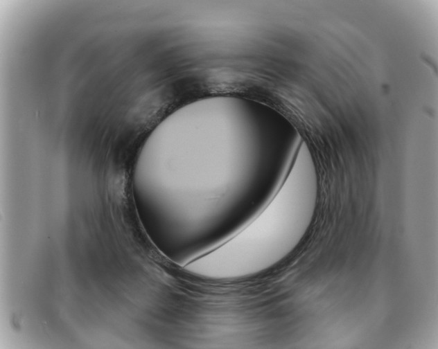 X0000091530219200708170956