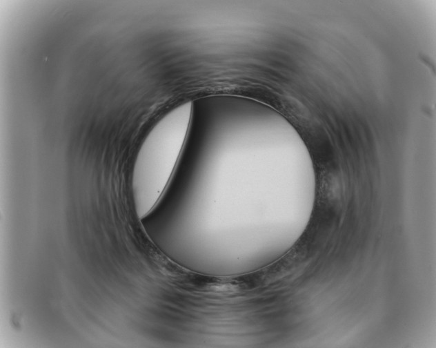 X0000091530220200708170956